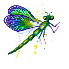 Fototapeta na wymiar Green Watercolor Dragonfly