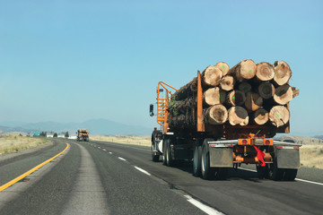 Large truck transporting wood on the road
