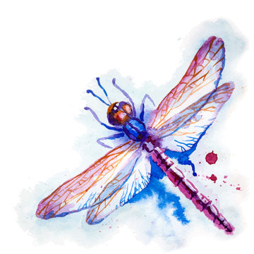 Purple Watercolor Dragonfly