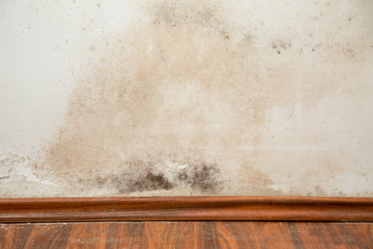 Black mould buildup in the corner of an old house
