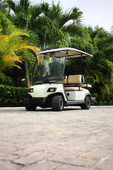 Golf Cart