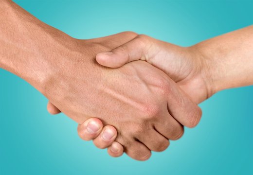 Handshake, Human Hand, Agreement.