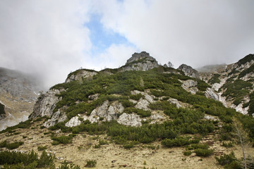 Julian Alps near Planina Konjscica. Slovenia
