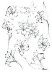 Hand-drawn floral pattern