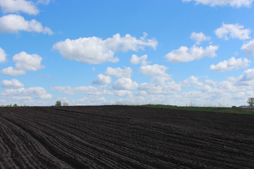 Fototapeta na wymiar plowed land ready for planting potato in the village