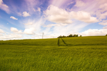 Beautiful, afternoon landscape with growing ray in Spring time, Scotland