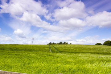 Beautiful, afternoon landscape with growing ray in Spring time, Scotland