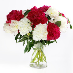 Three peonies flower isolated on white 