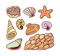  sea shells doodled icons, vector illustration.