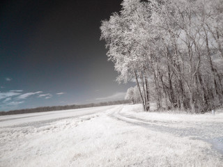 Fototapeta premium arkansas delta