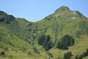 the green mountain