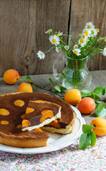 Obraz na płótnie Canvas cake with chocolate and apricots
