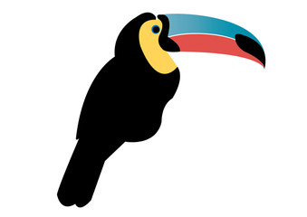 Toucan