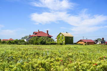 Naklejka na ściany i meble houses in a field, cottages in countryside