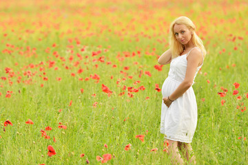 Naklejka na ściany i meble happy pregnant woman in poppie field