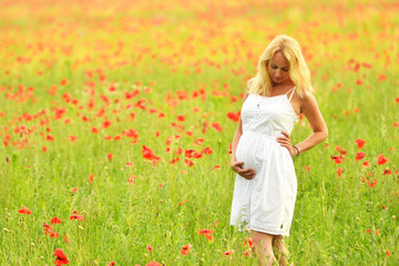 happy pregnant woman in poppie field