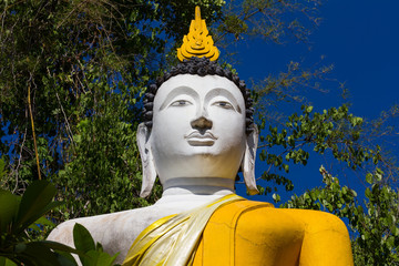 Obraz premium Buddha white and yellow bushes.