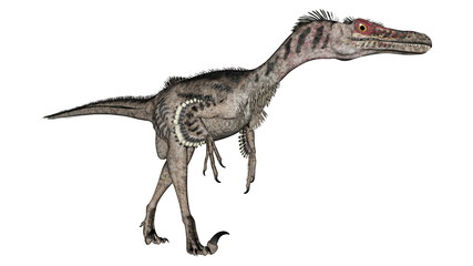 Velociraptor dinosaur - 3D render