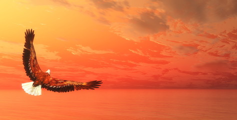 Fototapeta na wymiar Eagle flying - 3D render