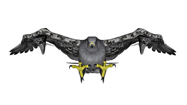 Grey Falcon Flying - 3D Render