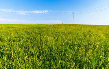 Telegraph-pole on the yellow field
