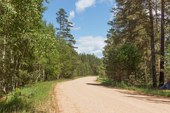 Summer Landscape With Grant Covering Road In The Woods On A Sunny Day