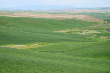 farm hill in washington