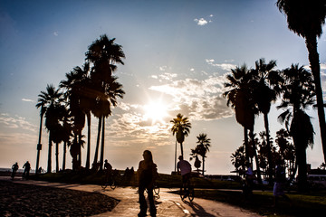 Venice Beach