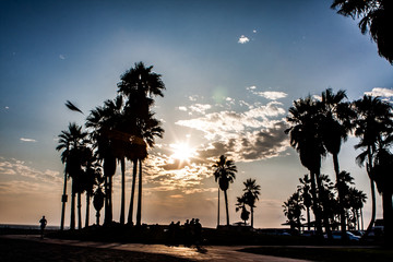 Venice Beach