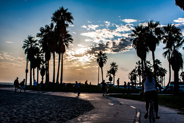 Venice Beach