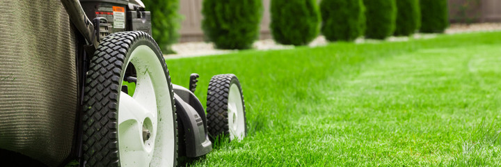 Lawn mower on green lawn