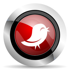 twitter red glossy web icon
