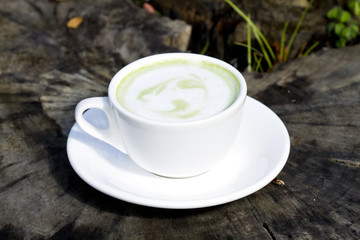 Hot green tea or cup of tea 