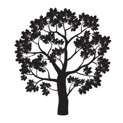 Black Maple Tree. Vector Illustration.