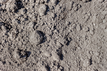 horizontal image filled with black dirt with clumps of soil lying on top