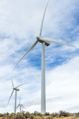 Modern windmill farms harvest energy through wind power