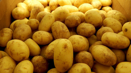 Potatoes texture background