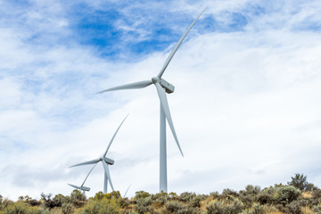 Modern windmill farms harvest energy through wind power
