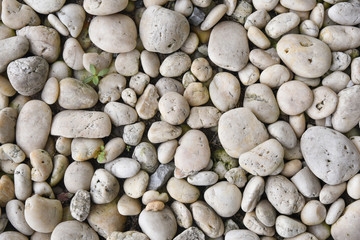 pebbles