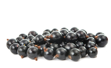 currants