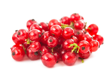 currants