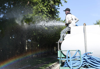 unidentified man on water truck watering big tree