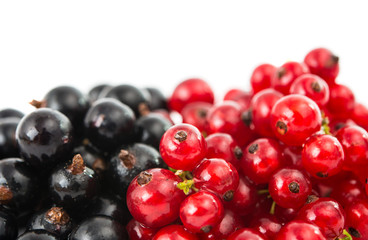 currants