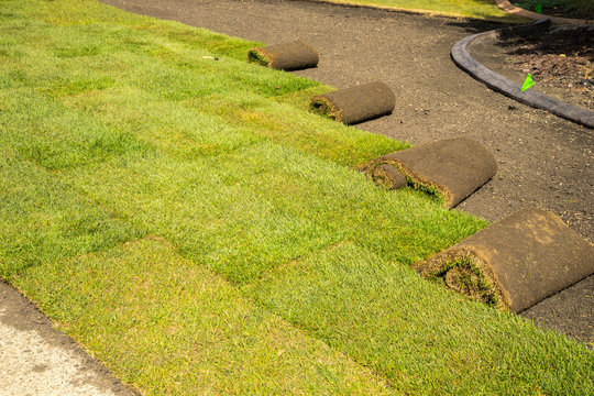 Rolls Of Sod - Installation