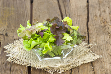 Mixed salad green leaves