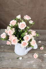 Pink roses  in watering can