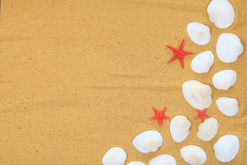 Seashells and starfish on sand