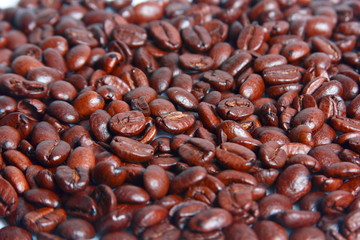 granos de cafe