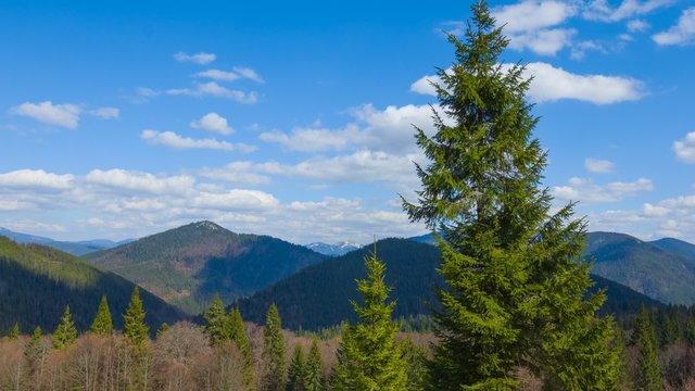 green mountain scene 