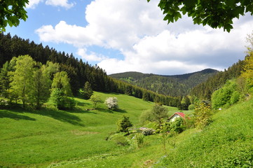 Landschaft im Pochwerksgrund / Thüringer Wald
